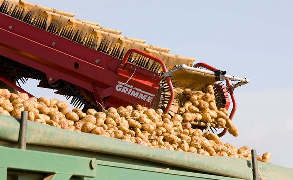 End to market pricing as AHDB Potatoes winds down