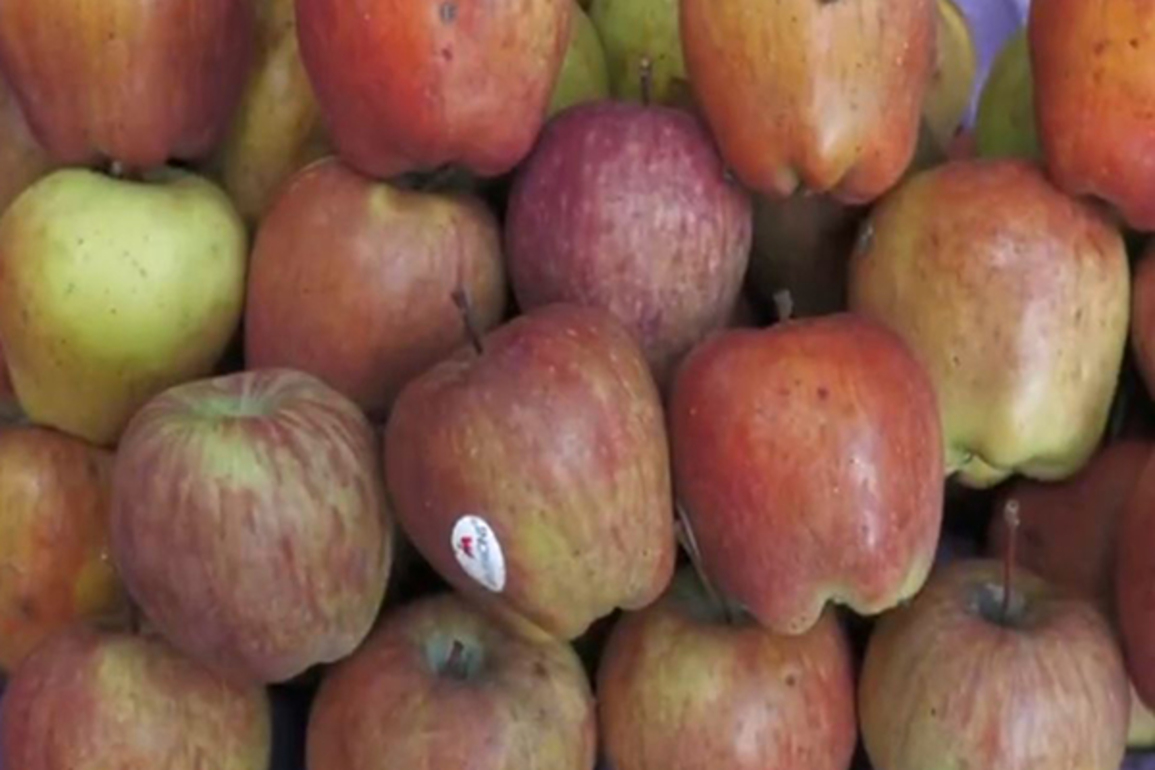 Fruit traders in Prayagraj decided to boycott Turkish apples