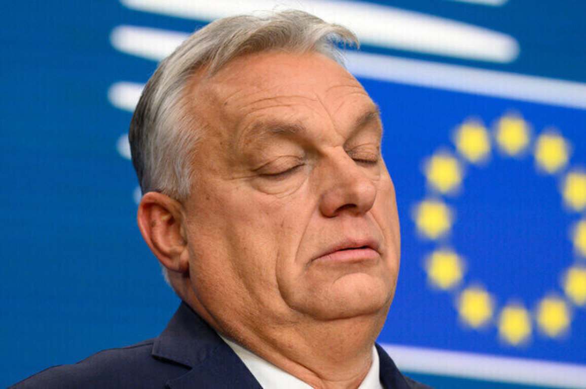 EU drowning in corruption  Orban