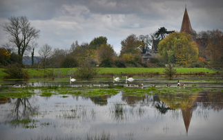 'Biggest-ever investment': 40 natural flood management projects to receive £25m in funding