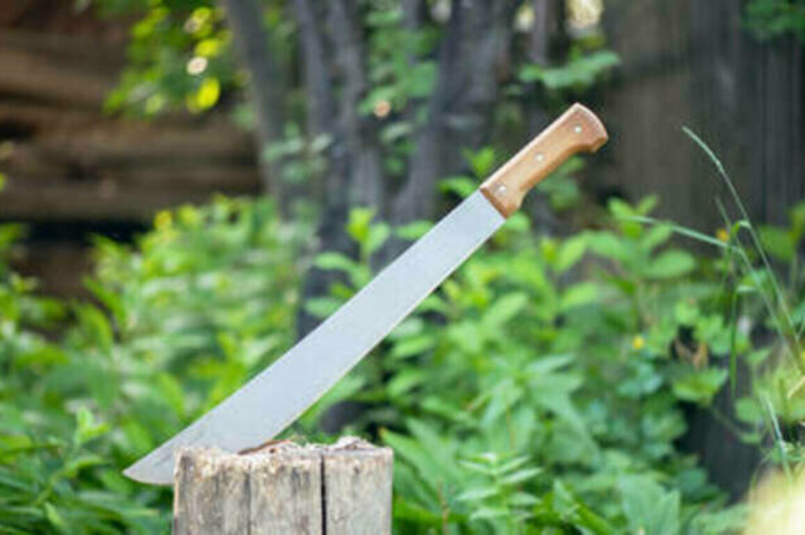 Australians ordered to surrender machetes or go to prison