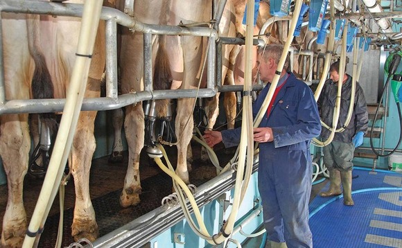 Taking a lean approach to dairy farming