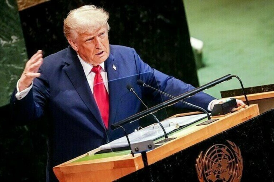 Western European countries going to hell  Trump