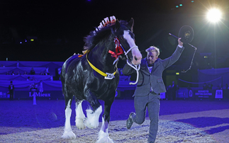 HOYS celebrates 75 years