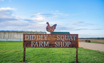 Diddly Squat Farm partners with Ocado, delivering British produce straight to customers' doors  