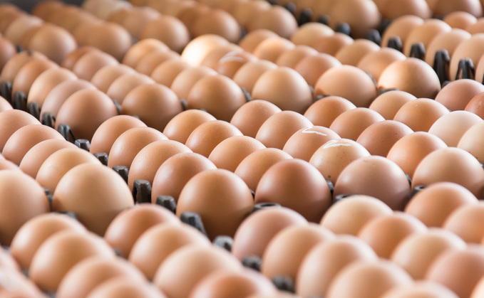 Diners have said they would leave restaurant if they were not served British eggs