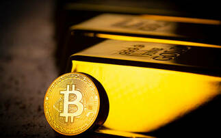 Bitcoin or gold? Own both 