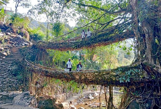 EC officers brave difficult terrain, trek for hours to reach polling stations in Meghalaya