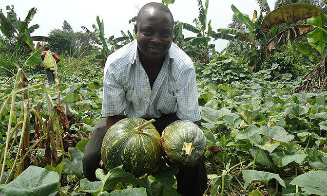 Ways of getting the best out of pumpkin growing? Ways of getting the best out of pumpkin growing?