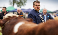 Shows round-up: Black Isle and Clougher Valley 