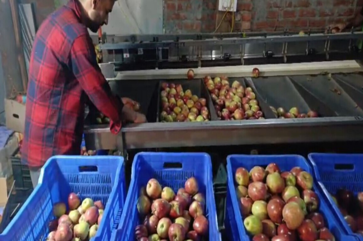 FSSAI orders strict vigilance against illegal fruit ripening agents across states