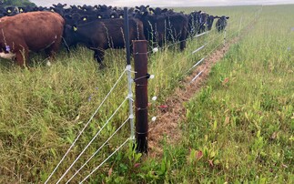 Cows come home: Managing paddock systems with temporary fencing