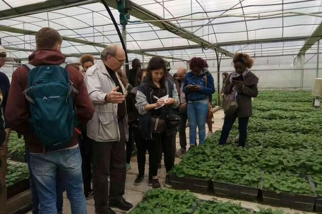 "Dr. Bethune of potato": Belgian agronomist cultivates EU-China friendships
