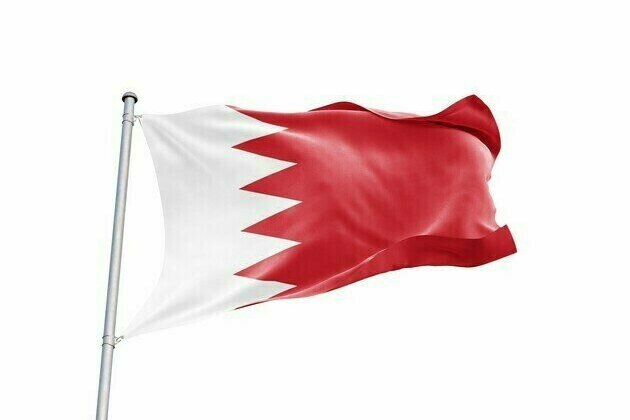 Bahrain commends UAE's efforts in rescuing commercial ship crew in Red Sea