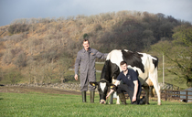 Feizor Holsteins open day: Yorkshire Dales Premier Herd to go under the hammer
