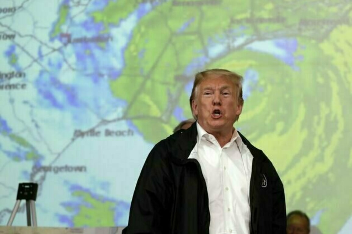 Grattan on Friday: Anthony Albanese beset by disruptors, from Cyclone Alfred to Donald Trump