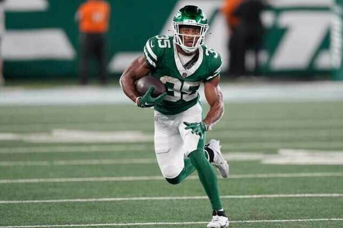 Vikings Sign RB Xazavian Valladay & OL Zack Bailey