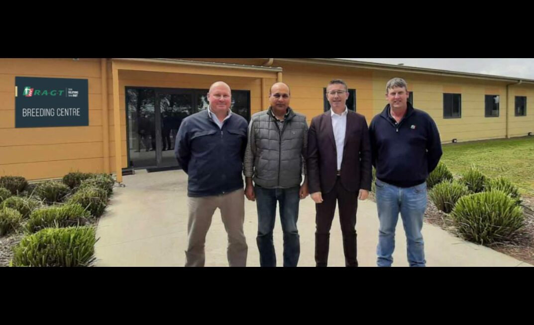  RAGT Australia announces acquisition of BASF’s open-pollinated wheat seed assets. Pictured: RAGT Australia general manager, Dale Skepper (left), RAGT Australia senior plant breeder, Maqbool Ahmad, RAGT Semences new markets territory director, Samuel Gaste, and RAGT Australia broadacre technical product development manager, David Leah. Photo courtesy of RAGT Australia.