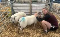 Urgent calls for information on suspected stolen lambs in West Yorkshire