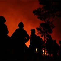 Spain declares Galicia wildfire zones disaster as record heatwave fuels devastation