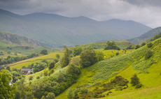 Upland farmers and commoners still at risk of going bust during Brexit transition