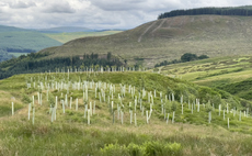 Green groups demand more detail and ambition from new UK-wide nature plan