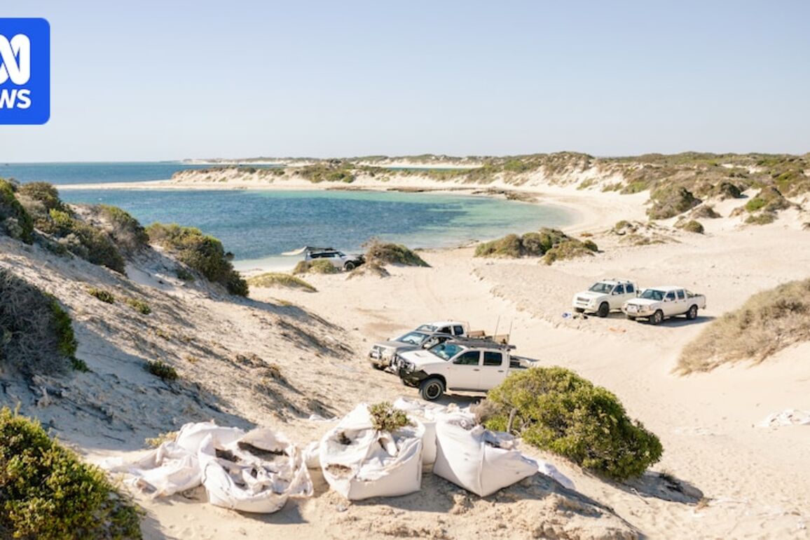 Four-wheel drivers need to get back on track to ease coastal erosion, shires say