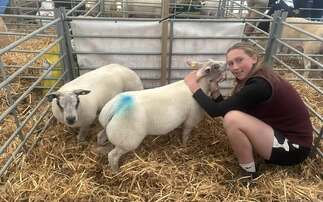 Urgent calls for information on suspected stolen lambs in West Yorkshire