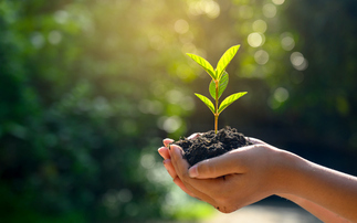 H&M Group adopts science-based targets for land impacts 