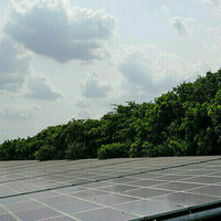 India aiming to become net energy exporter by 2030  minister