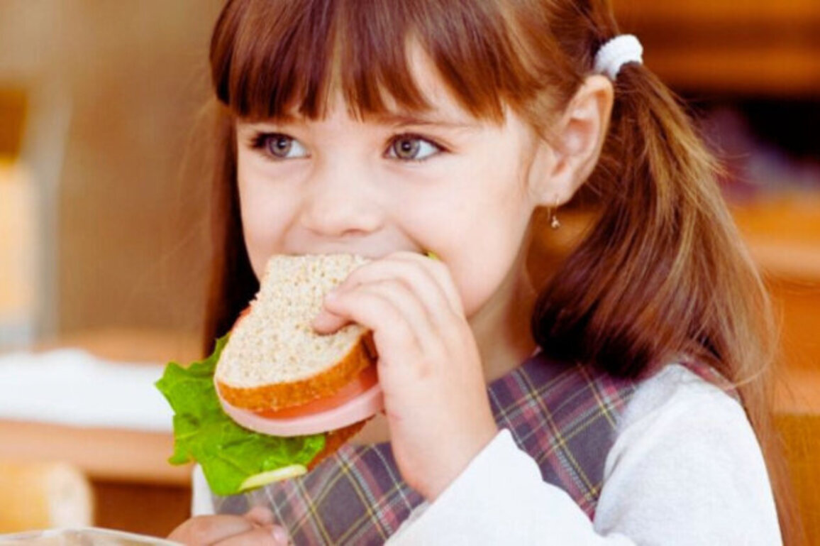 Bacteria and Mold Found in School Sandwiches in Bulgaria