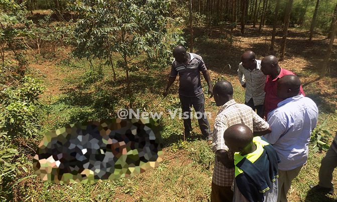 Headless body found dumped in Ibanda Headless body found dumped in Ibanda