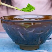 GloriousGuizhou | Jiangkou County: a world-class matcha super factory in SW China