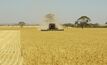 Harvest success for WA