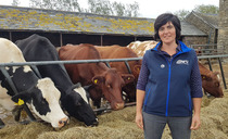 Abi Reader: 'I carry on my shoulders the hopes and aspirations of farmers right across Wales and I will do everything I can to represent them'