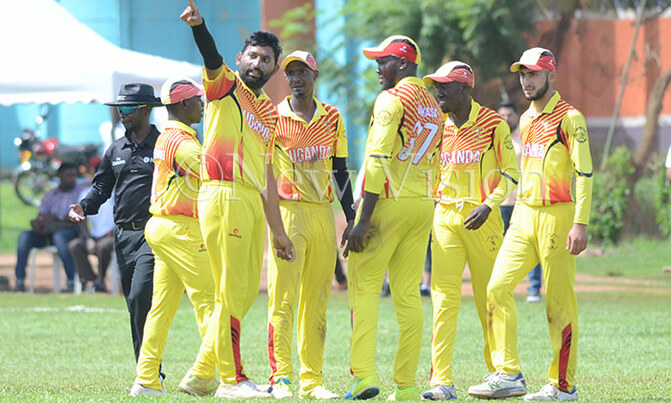 2019 Cricket Review: Cricket Cranes save season 2019 Cricket Review: Cricket Cranes save season