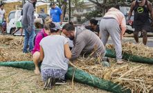  Locals stuff straw ito sacks. Credit: EPA