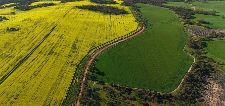 GIWA estimates the WA winter cropping area at 9.39m hectares. 