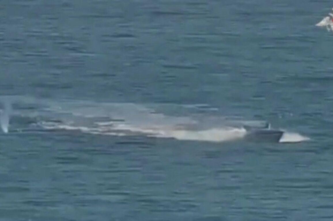 Russian forces destroy Ukrainian naval drones - MOD (VIDEO)