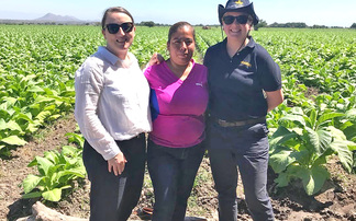 #FarmingCAN: From the city to the countryside - one woman's journey to help change the perception of farming