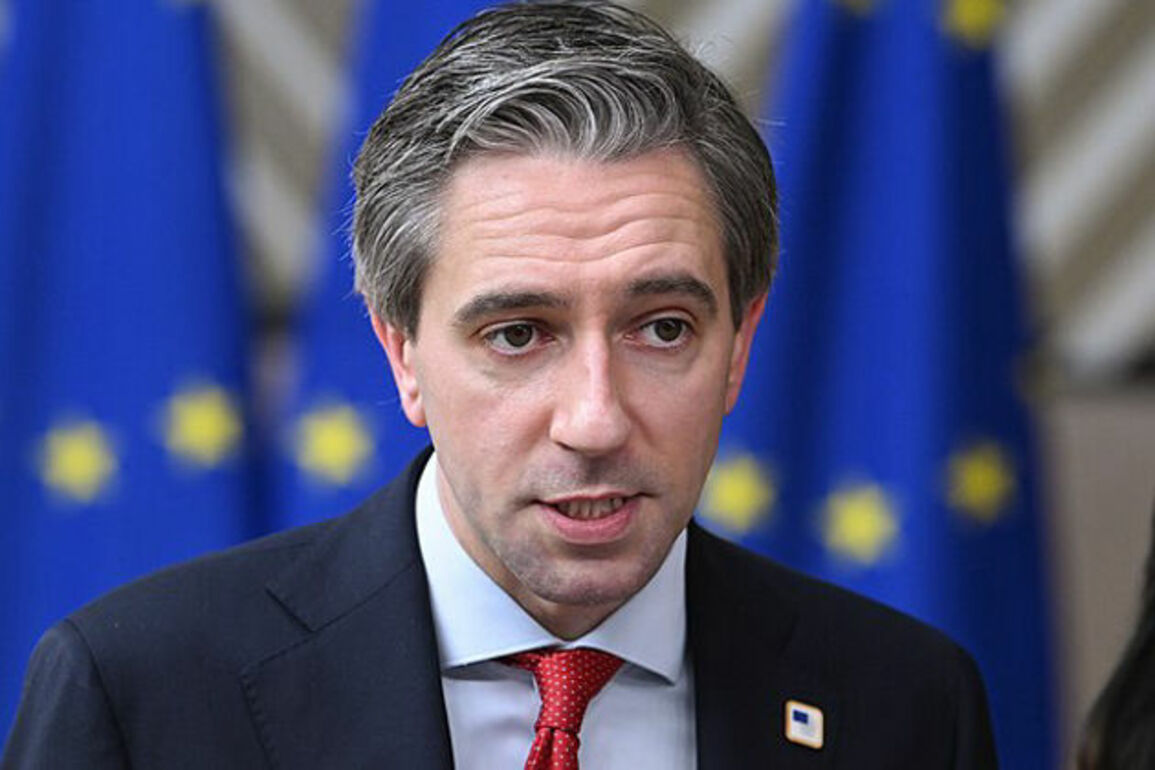 Ireland’s Deputy PM pushes for deeper economic ties with US