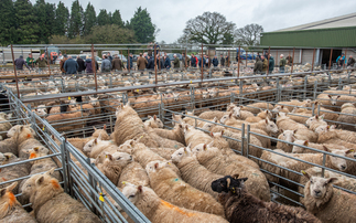 OPINION: Stepping into the rostrum made clear that the job is best left to the professionals