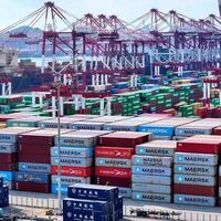 Economic Watch: German firms pivot to China amid rising global uncertainties