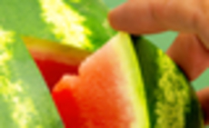 Corporate carve-outs: Slice and dice