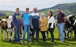 Cross breeding programme brings benefits to family dairy farm