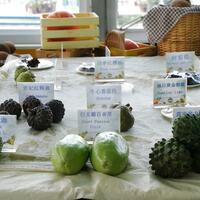 Hainan's exotic fruit "window" boosts south China rural revitalization