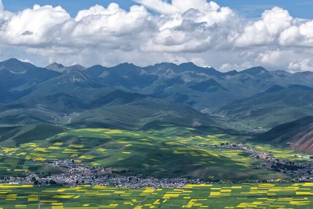 Feeling the pulse of rural revitalization in NW China's plateau villages