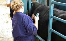 From the editor: New research showcasing impact of bovine TB on farmers must be headed