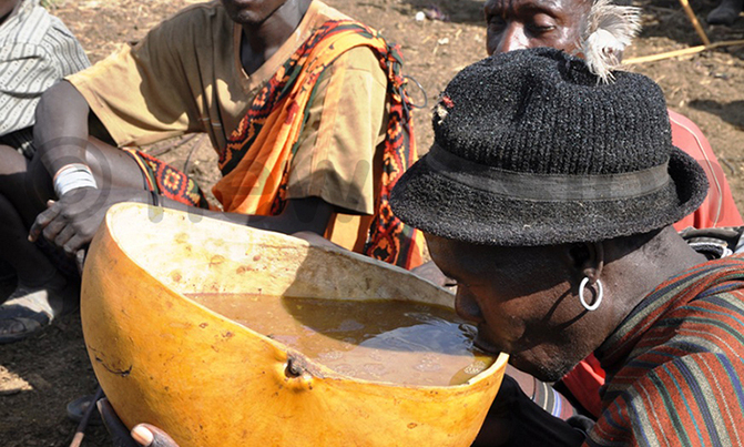 Study says homemade soup may fight malaria Study says homemade soup may fight malaria