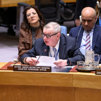UN-SECURITY COUNCIL MEETING-ISLAMIC STATE